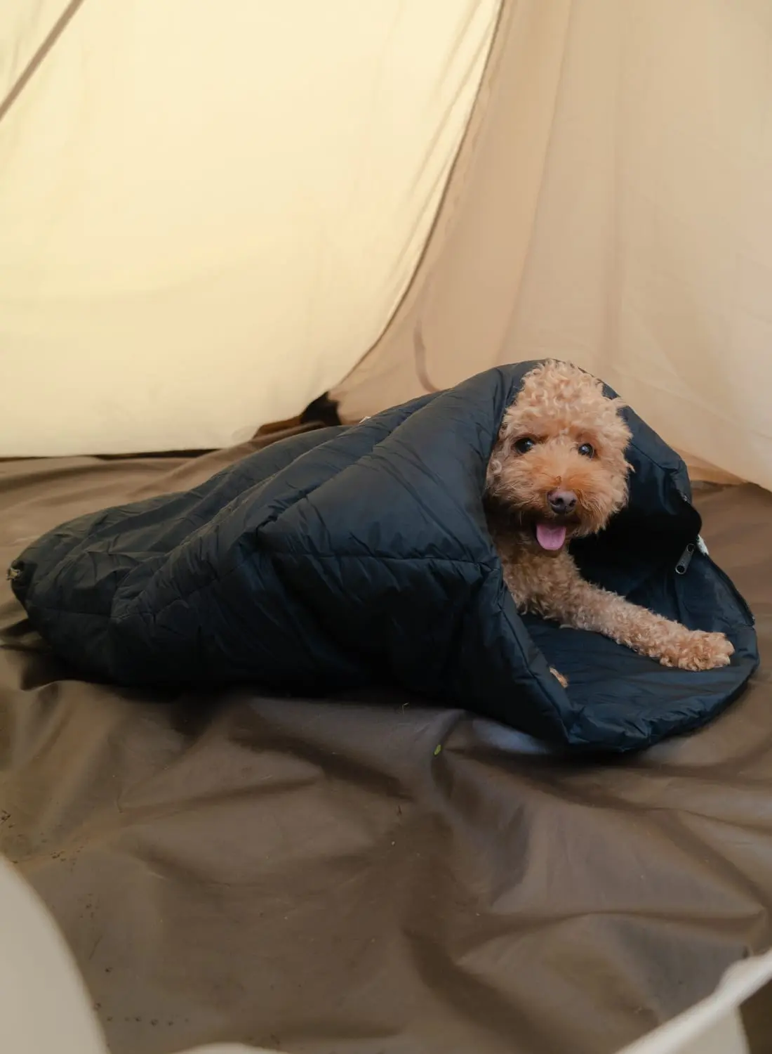 NANGA 犬用 スリーピングバッグ 寝袋 防寒具 キャンプ 中型犬 大型犬 NANGA 犬用 スリーピングバッグ 寝袋 防寒具 キャンプ 中型犬 大型犬