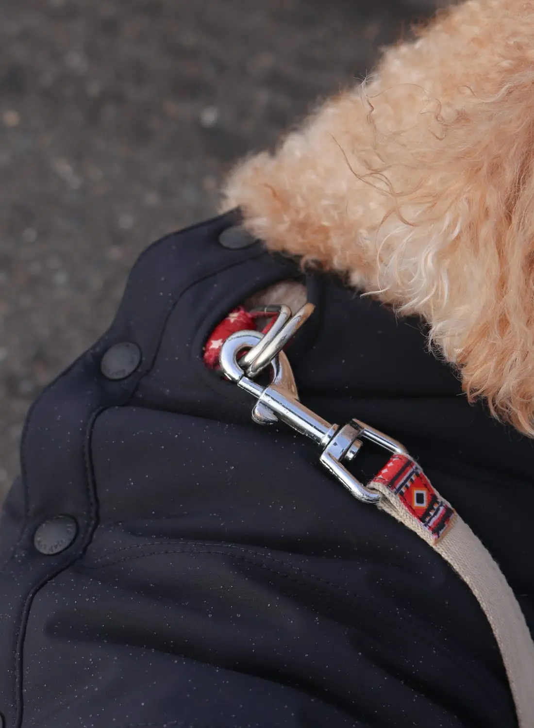 Snow Peak(スノーピーク)SP Dog Flexible Insulated Jacket(SP