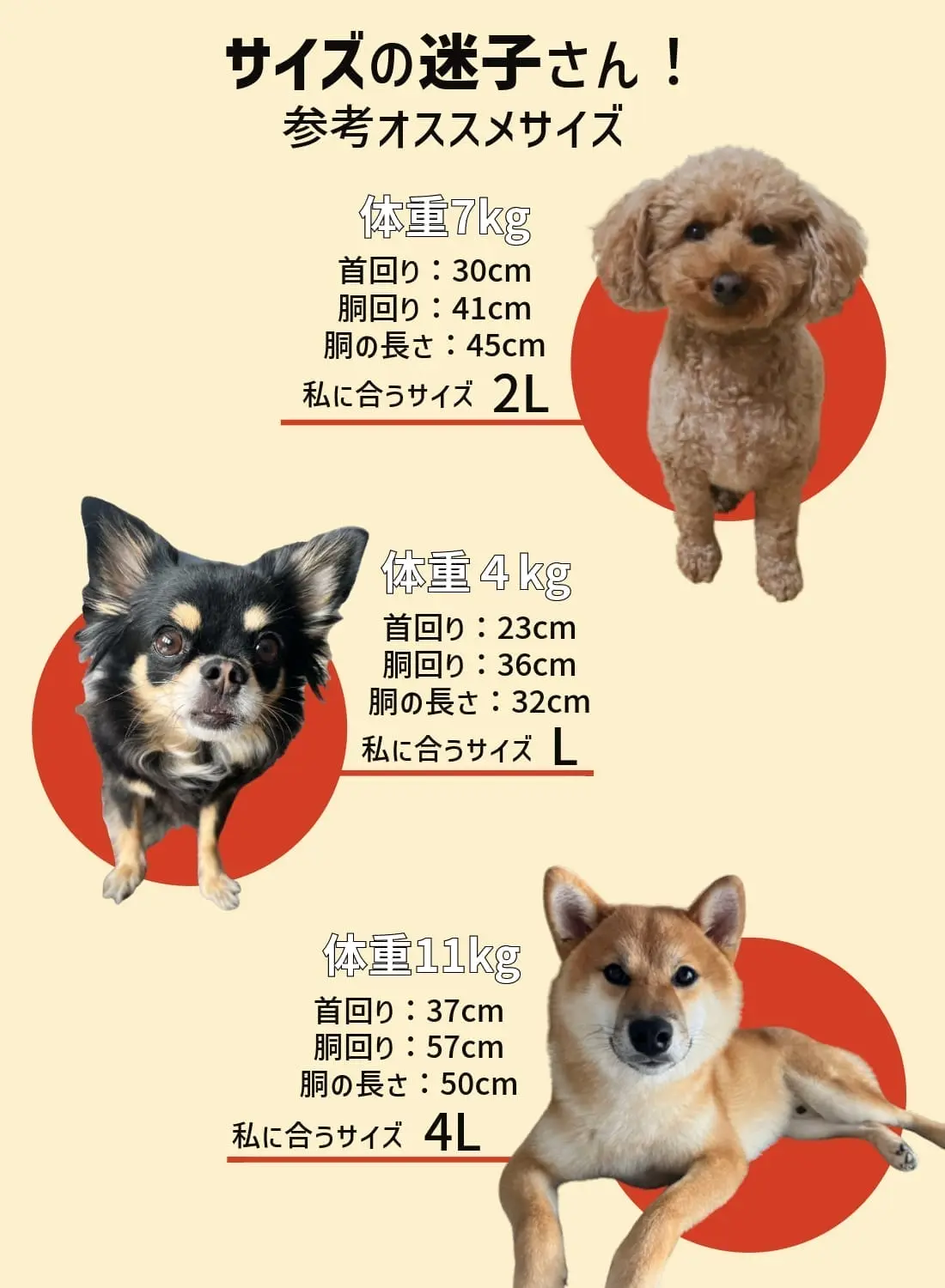 Snow Peak(スノーピーク)SP Dog Flexible Insulated Jacket(SP