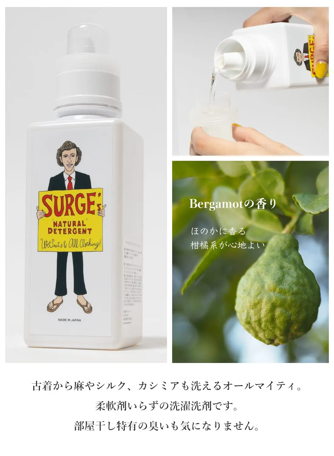 surge-sp2.jpg