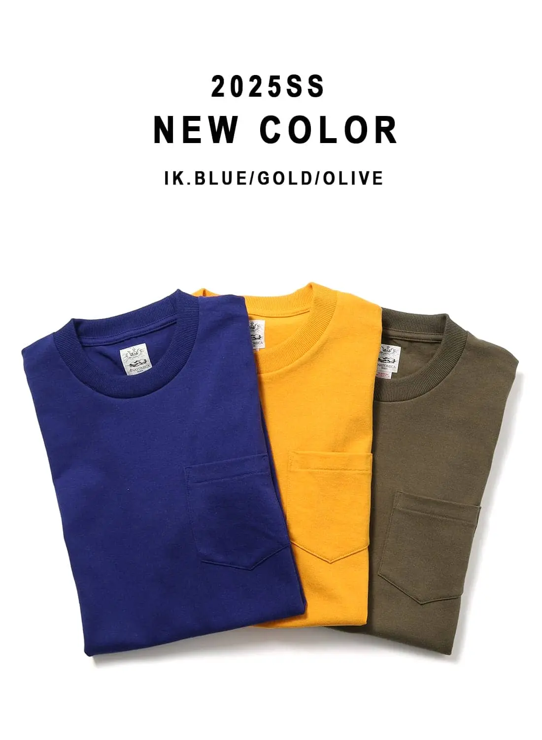 アナトミカ ポケT ポケTEE 半袖 Tシャツ 白T 無地 カットソー