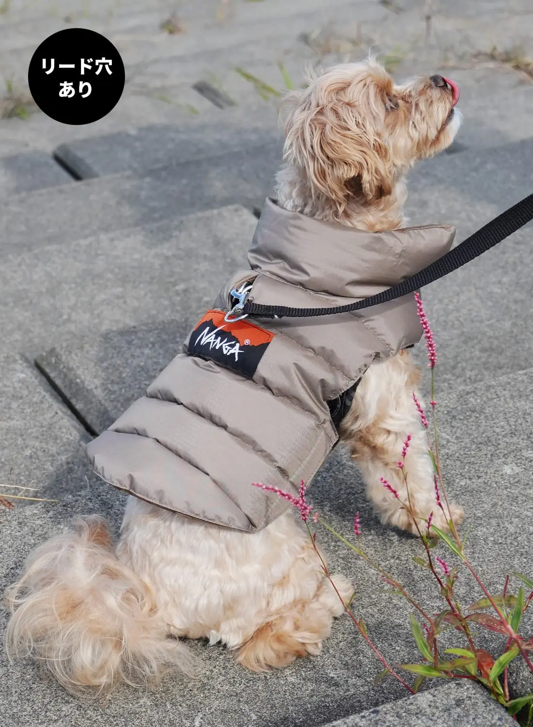 DOG DOWN JACKET - MOONLOID EXCLUSIVE|【MOONLOID別注】ドッグダウン