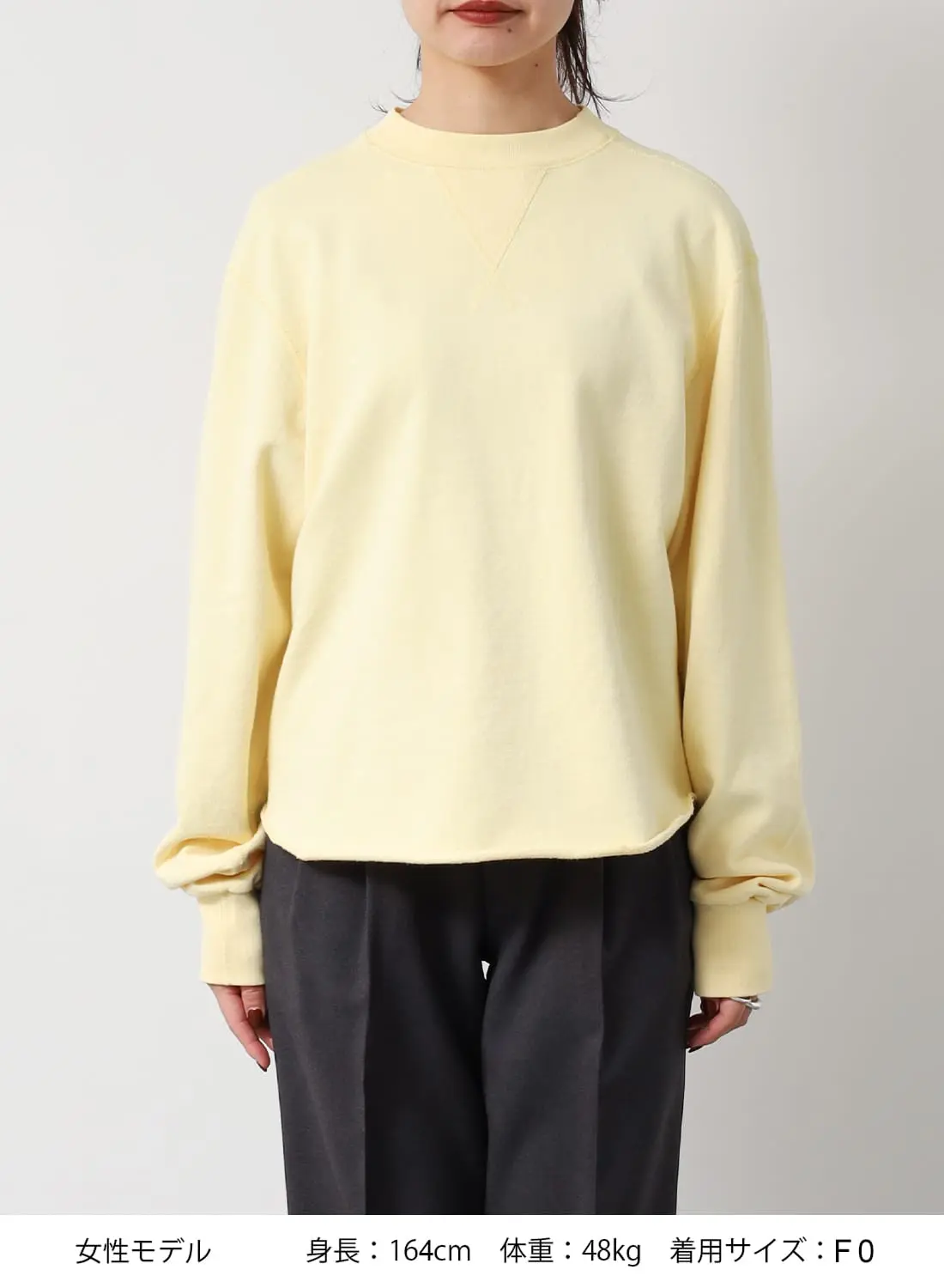 W GAZETTE PULLOVER|ダブルガゼット プルオーバーダブルガゼット プル