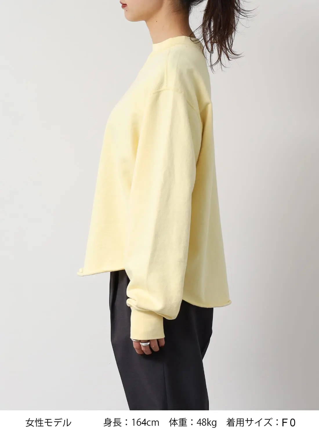 W GAZETTE PULLOVER|ダブルガゼット プルオーバーダブルガゼット プル