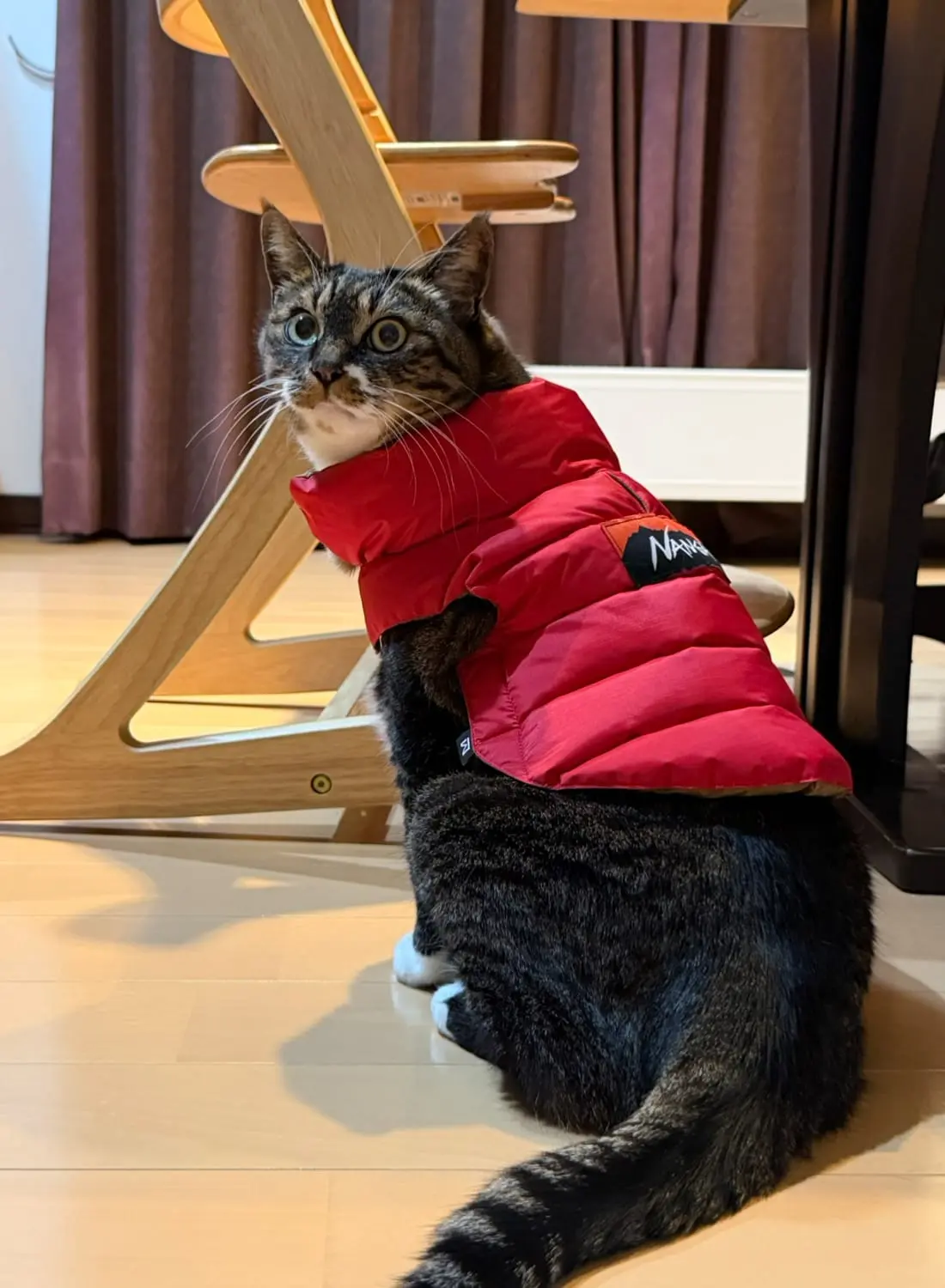 DOG DOWN JACKET - MOONLOID EXCLUSIVE|【MOONLOID別注】ドッグダウン